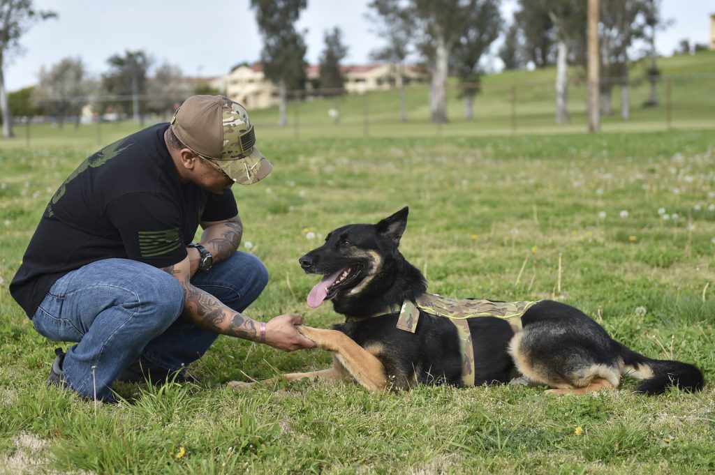 Retired Tech. Sgt. Brandon Jones and his service dog, Apache, spend time together at the Travis Air Force Base park, Mar. 30. Jones served 11 years in the U.S. Air Force until he was medically retired due to Post-Traumatic Stress Disorder.  He credits his service dog, Apache, for saving his life. Apache is trained to alert him during PTSD triggers and helps him ease through those anxieties. (U.S. Air Force photo by Tech. Sgt. Lilliana Moreno/Released)